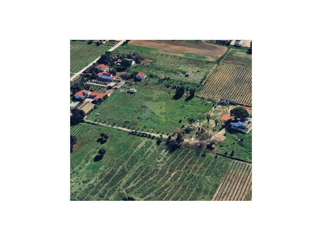 LOTE DE TERRENO COM 6000M2 - ENTRE PINHAL NOVO E PALMELA - Grande imagem: 2/8