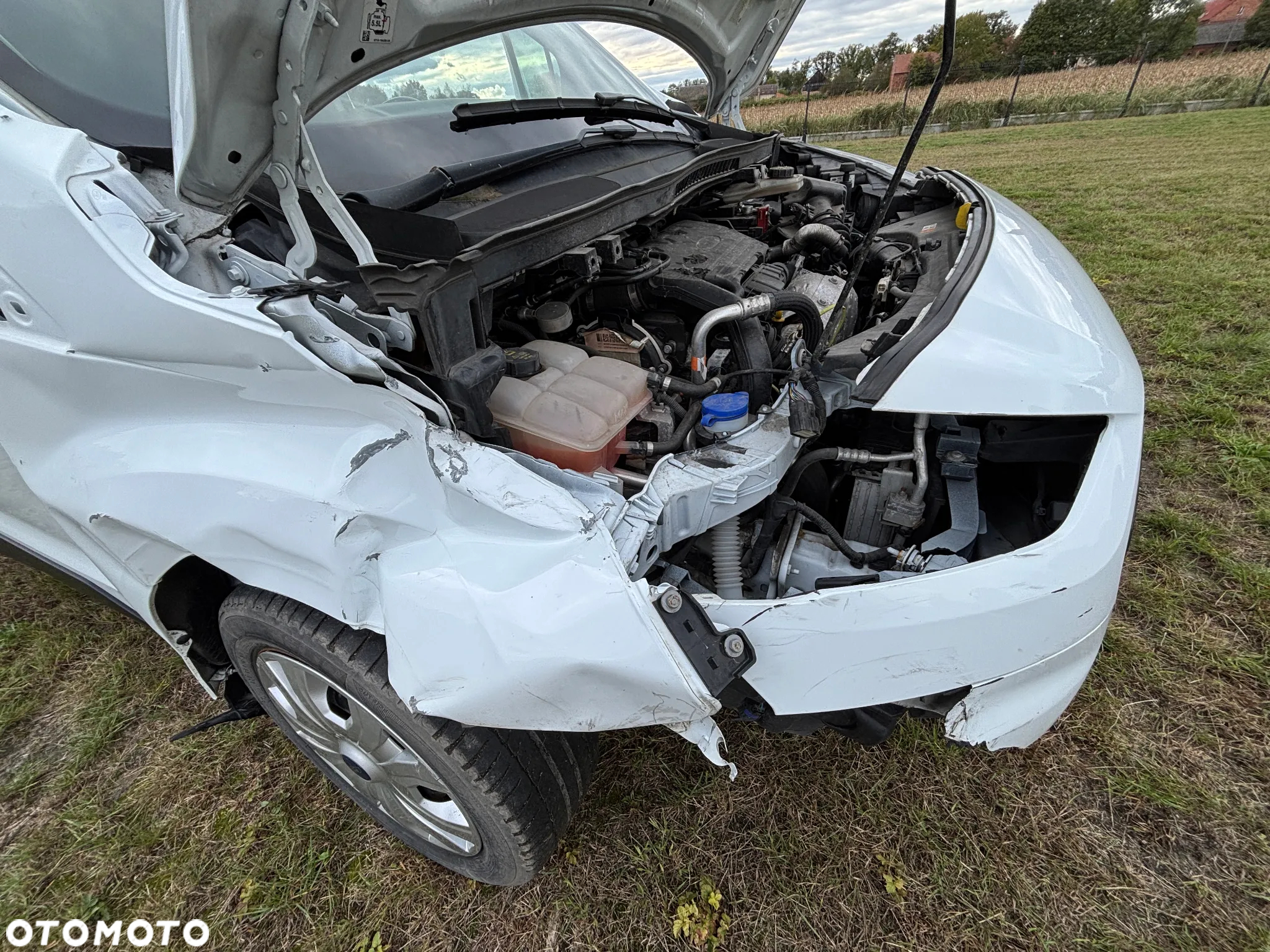 Ford Transit Connect - 17