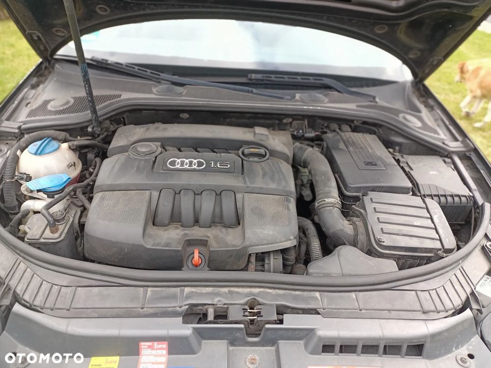 Audi A3 3-drzwiowe 1.6 Ambition - 12
