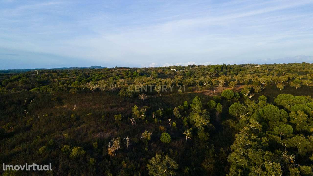 Terreno, 57 000 m², Santiago do Cacém, Santa Cruz e São Bartolomeu da Serra - Grande imagem: 4/7