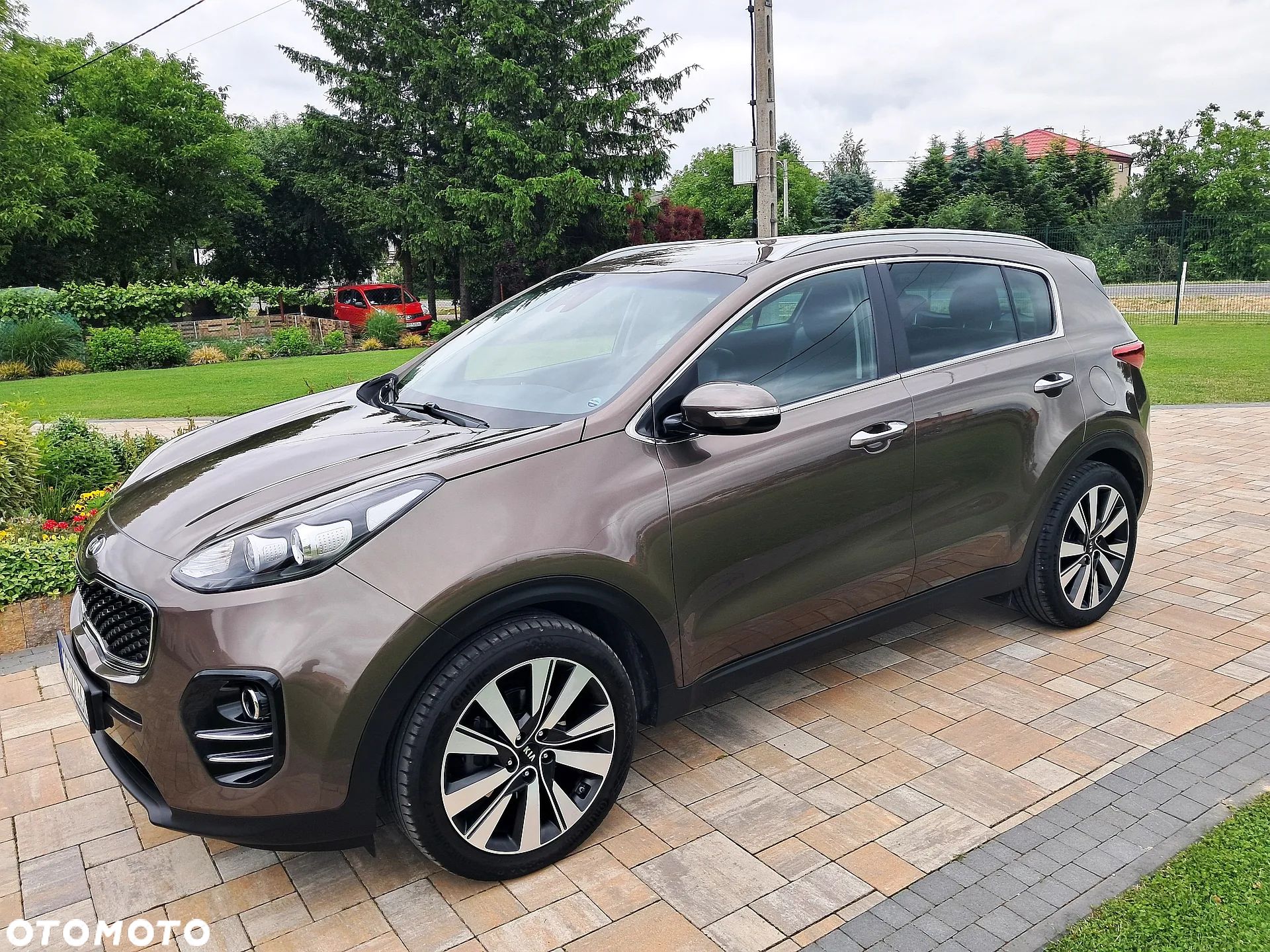 Kia Sportage - 1