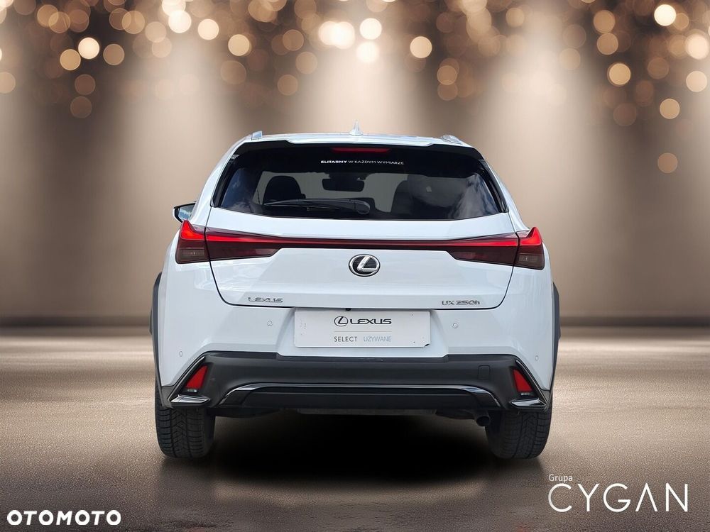 Lexus UX 250h GPF F Sport Design+ 2WD - 6