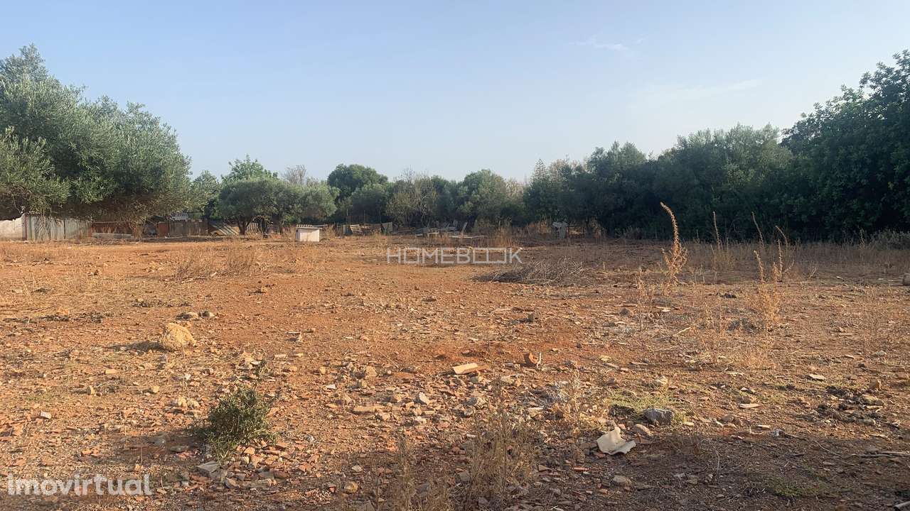 Terreno Agricola c/ 5.580m2 - Grande imagem: 5/8