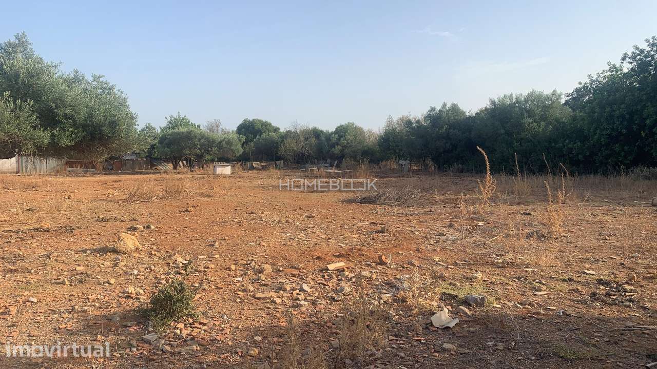 Terreno Agricola c/ 5580m2 - Grande imagem: 5/8