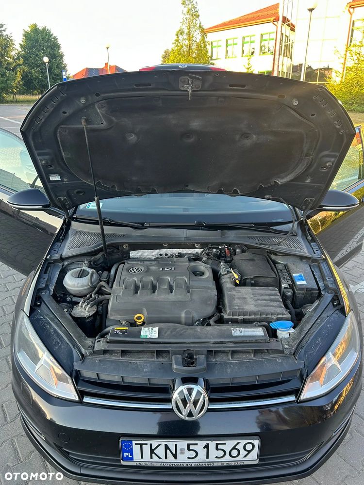 Volkswagen Golf - 20