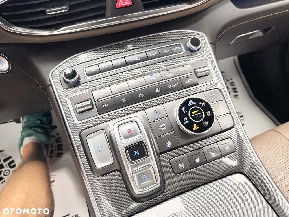 Hyundai Santa Fe - 12