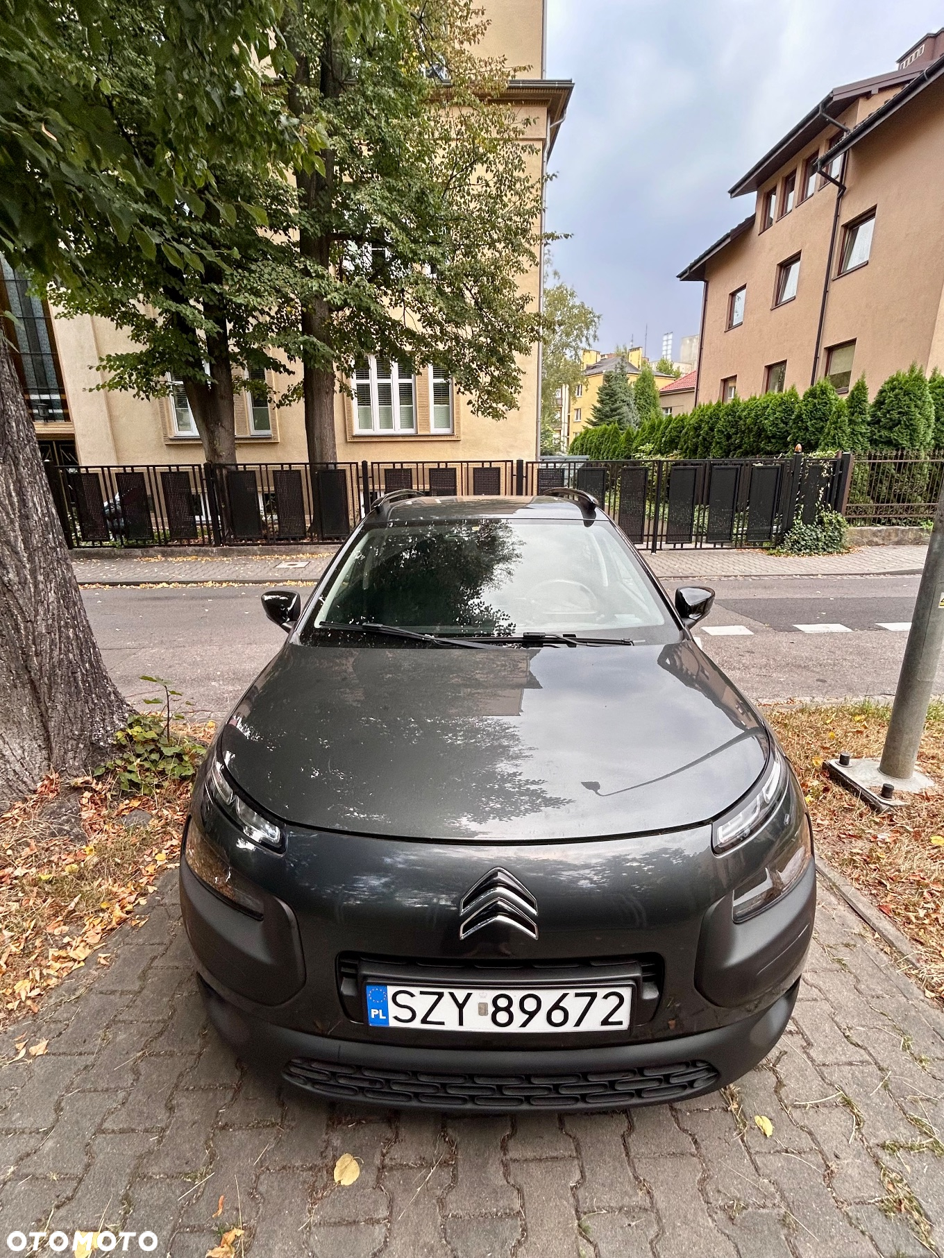 Citroën C4 Cactus 1.6 e-HDi Live ETG - 3