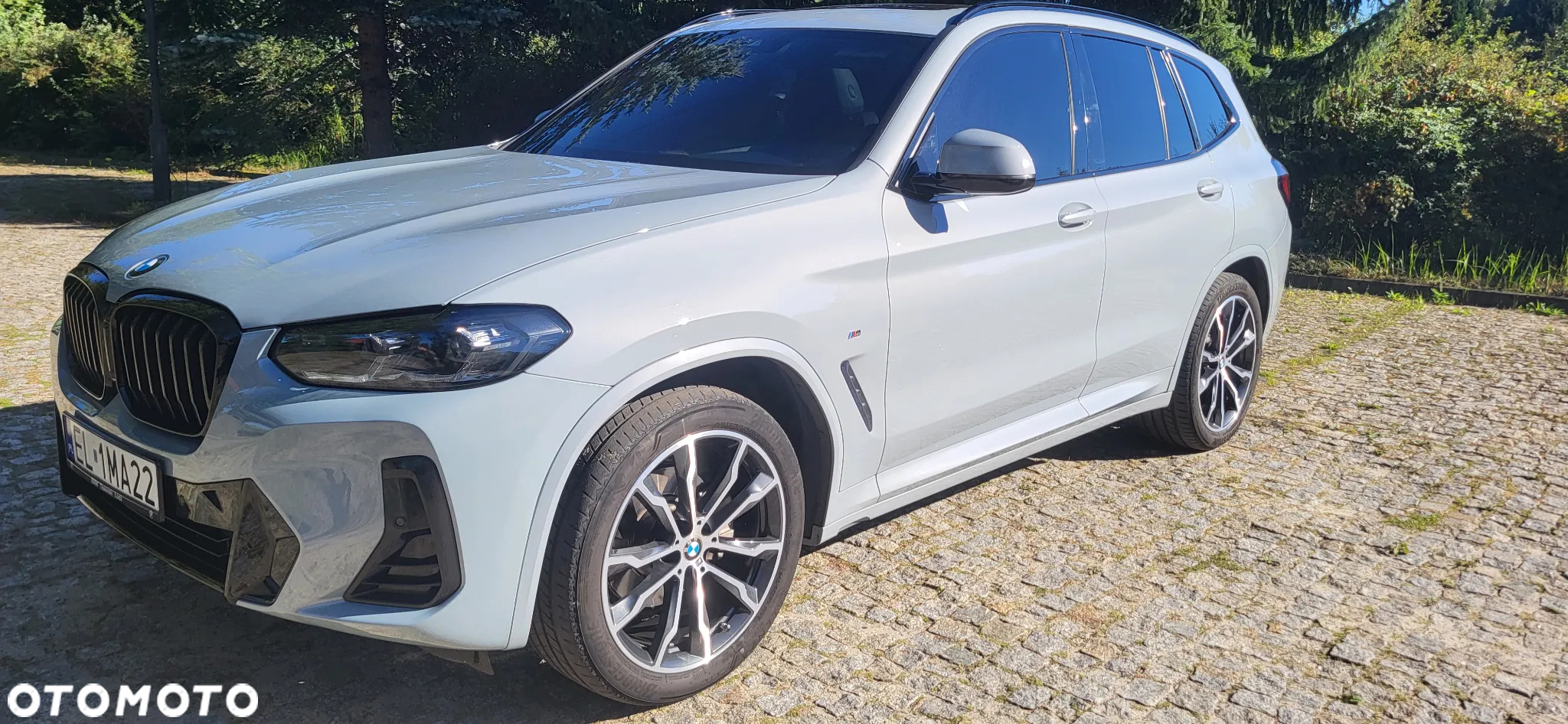 BMW X3 xDrive30i M Sport sport - 2