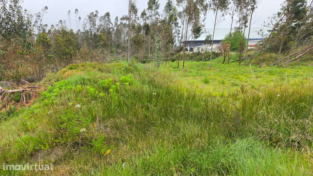 Terreno rústico de 7600m² de área, em Moita Marinha Grande - Grande imagem: 4/9