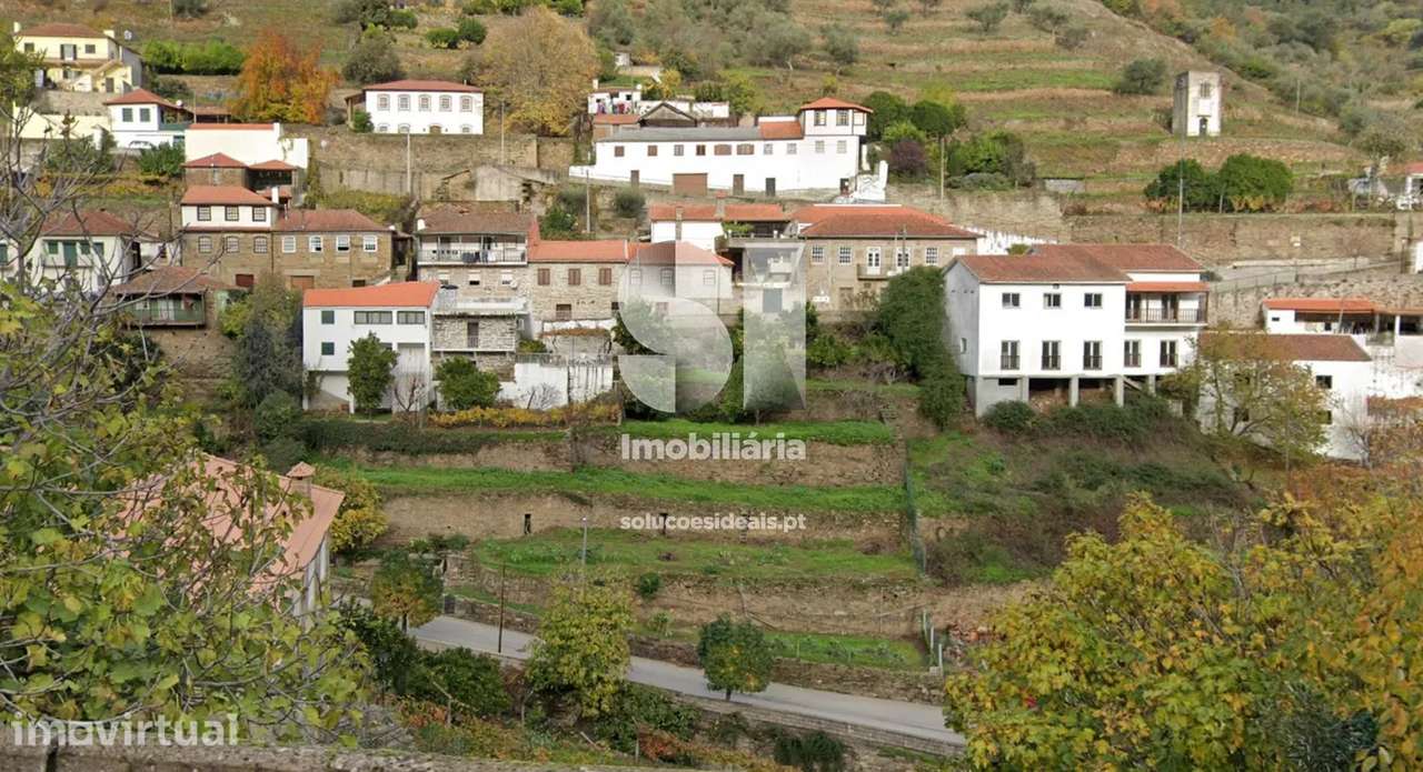 Terreno em Sabrosa - Grande imagem: 3/19