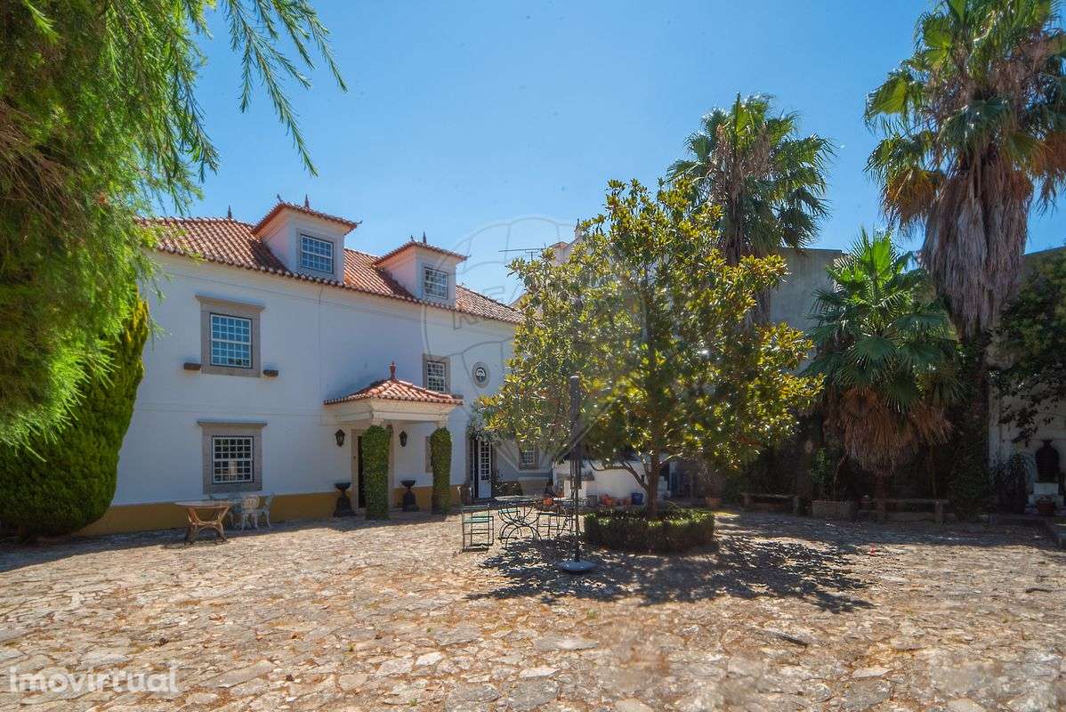 Quinta T7 para venda - Grande imagem: 5/50