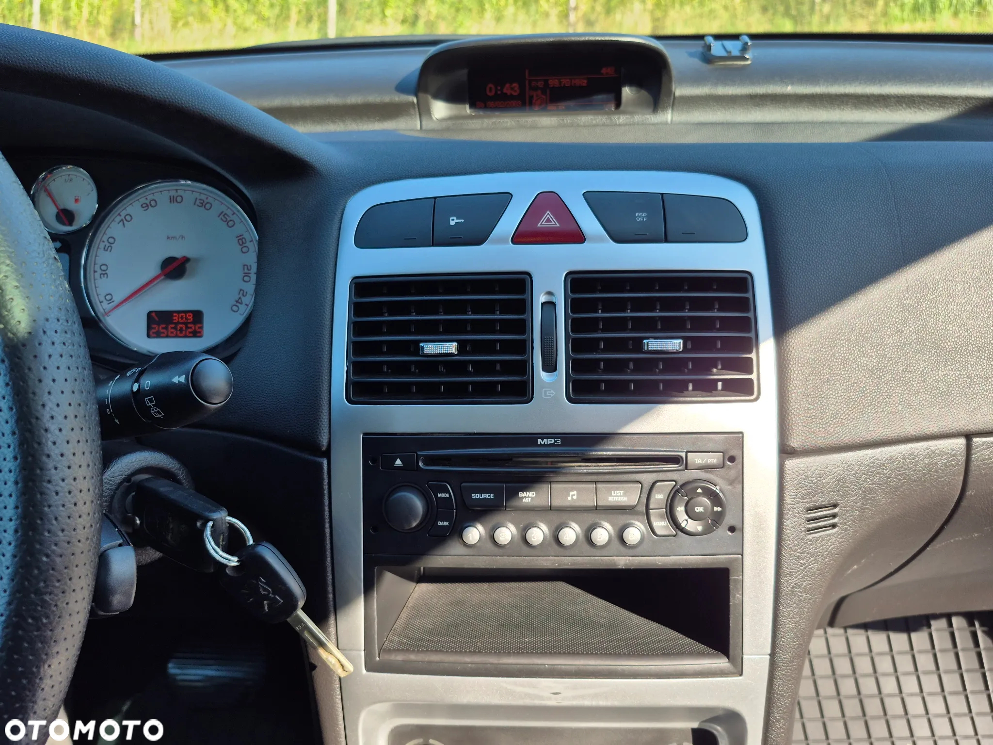 Peugeot 307 - 19