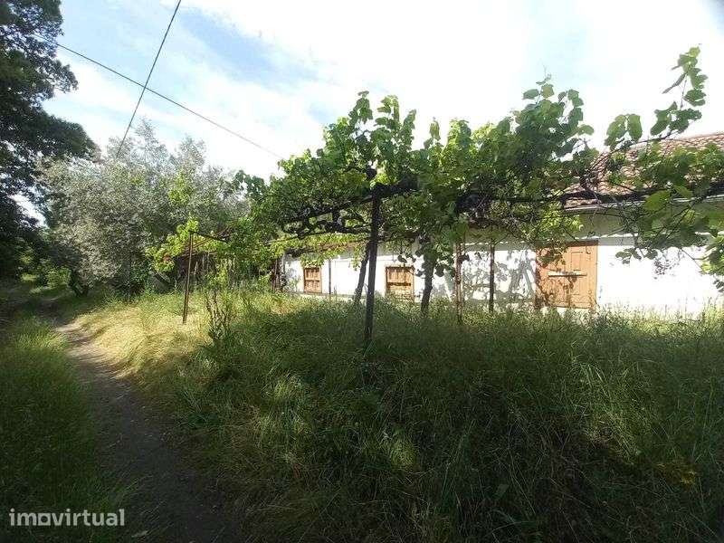 Casa antiga  geminada em plenas minas tuela - Grande imagem: 4/5