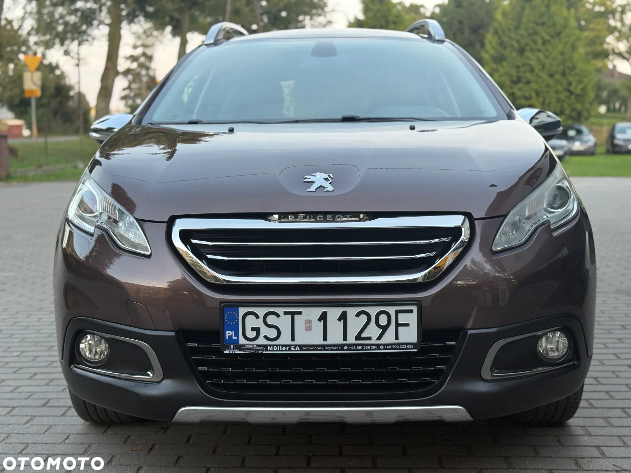 Peugeot 2008 - 11