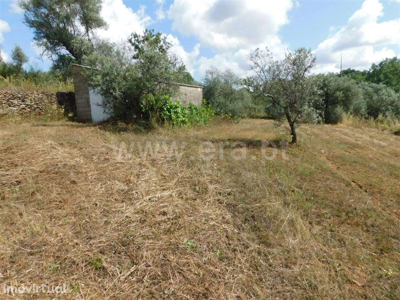 Terreno / Fundão, Alpedrinha - Grande imagem: 4/11