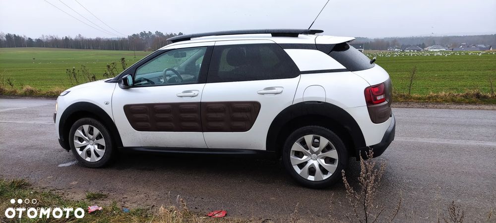 Citroën C4 Cactus 1.2 PureTech Shine EU6 - 1