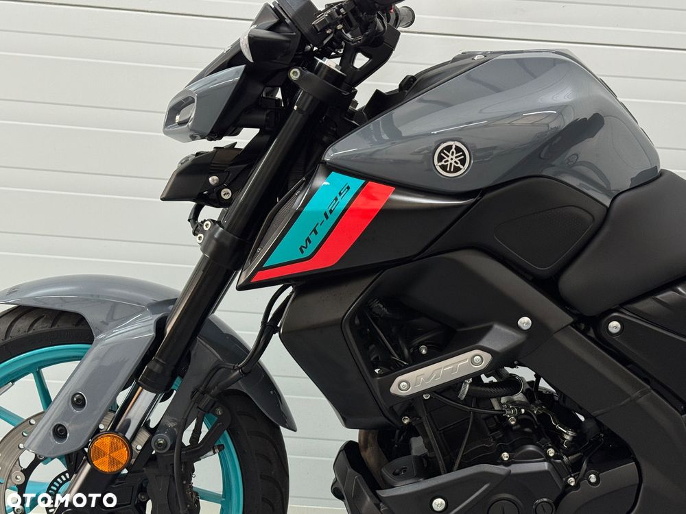 Yamaha MT - 19