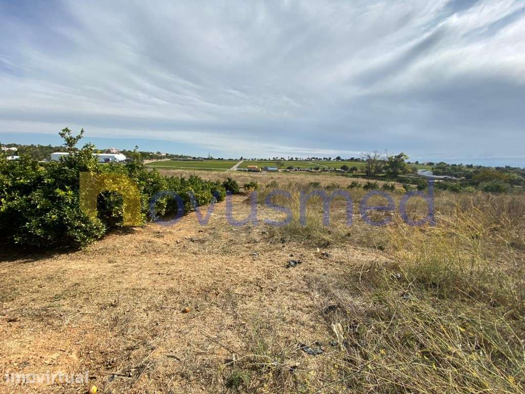 Quinta em plena produção de laranjal, exploração agrícola, Algarve,... - Grande imagem: 3/11