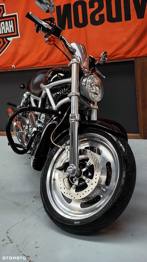 Harley-Davidson Softail V-Rod - 7