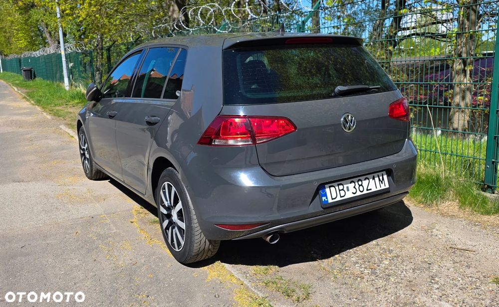 Volkswagen Golf - 19