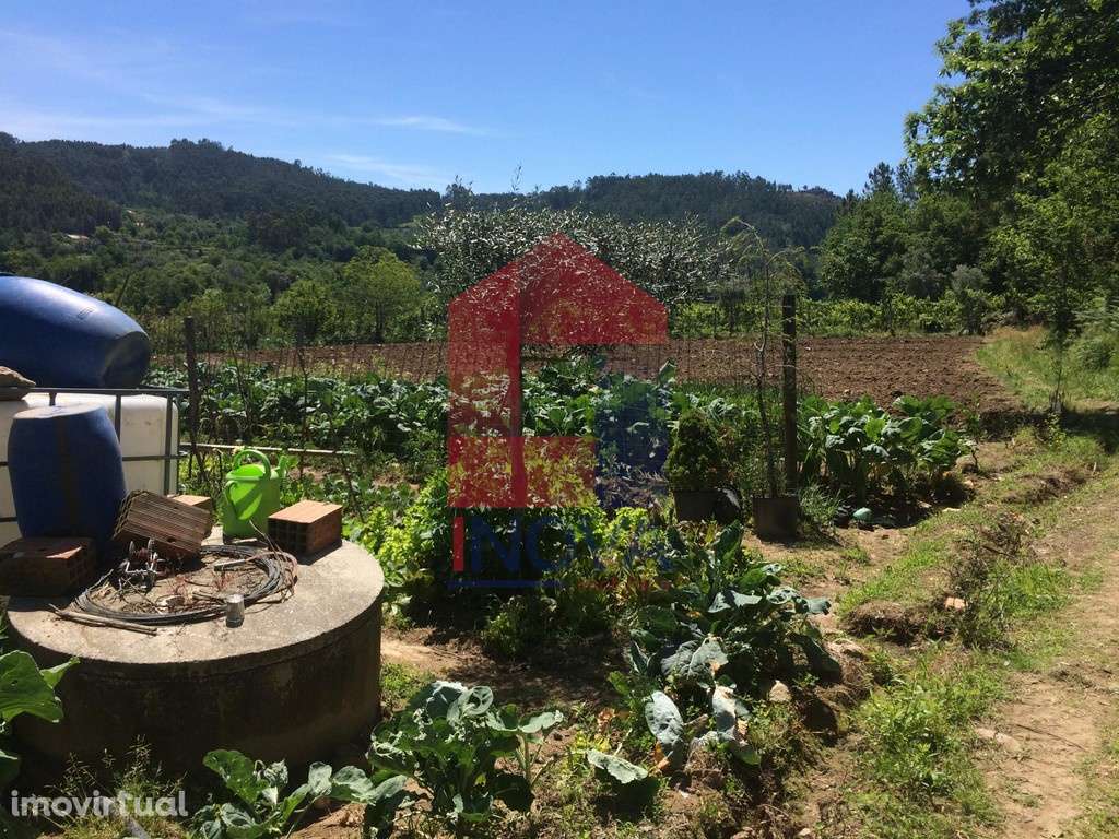 Terreno agrícola em Sande, Vila Verde - Grande imagem: 3/8