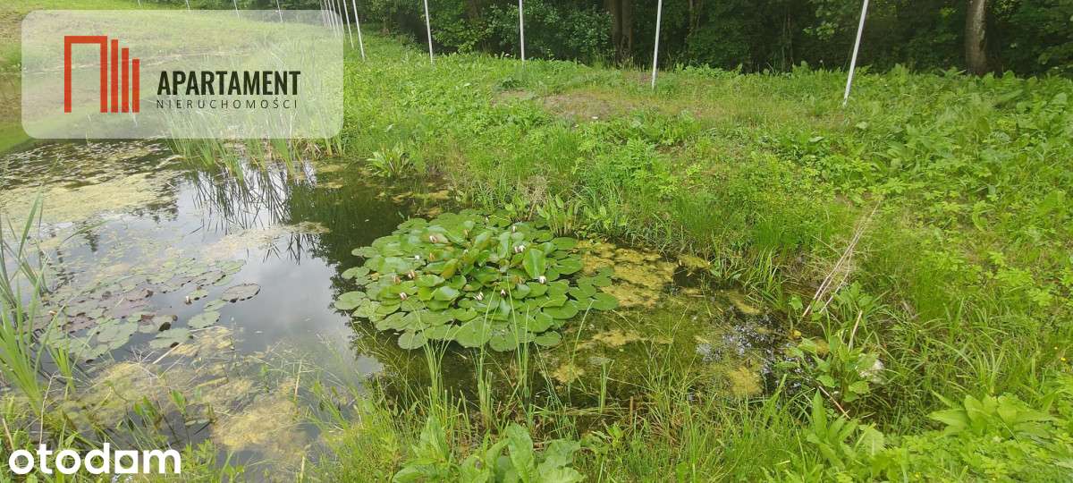Obniżka !!!Dom nad rzeką dz. 2924 m²  Natura 2000 - Pełny obrazek: 4/20