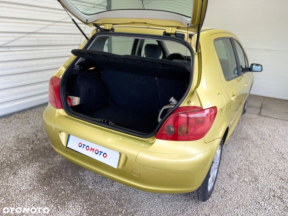 Peugeot 307 1.6 Premium - 6
