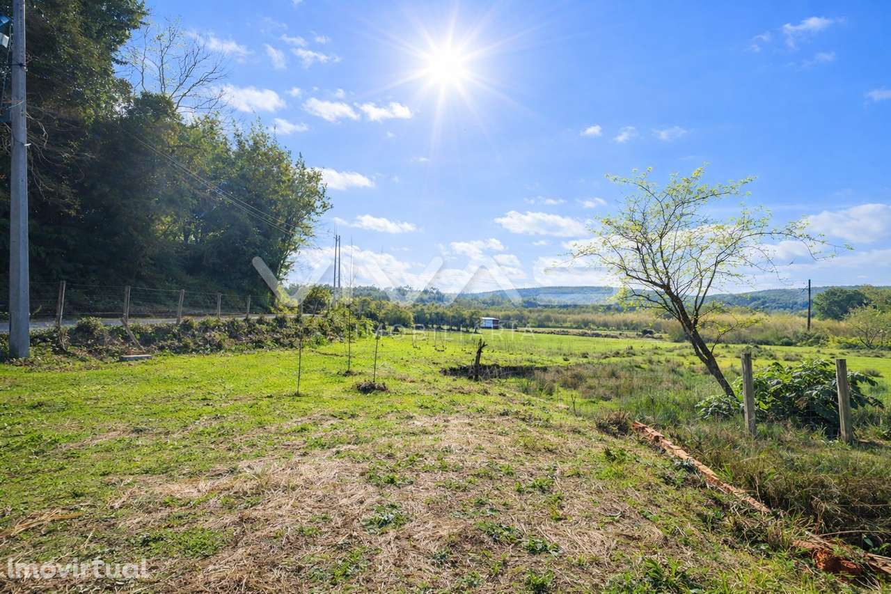 Terreno Rústico  Venda em Marrancos e Arcozelo,Vila Verde - Grande imagem: 2/9
