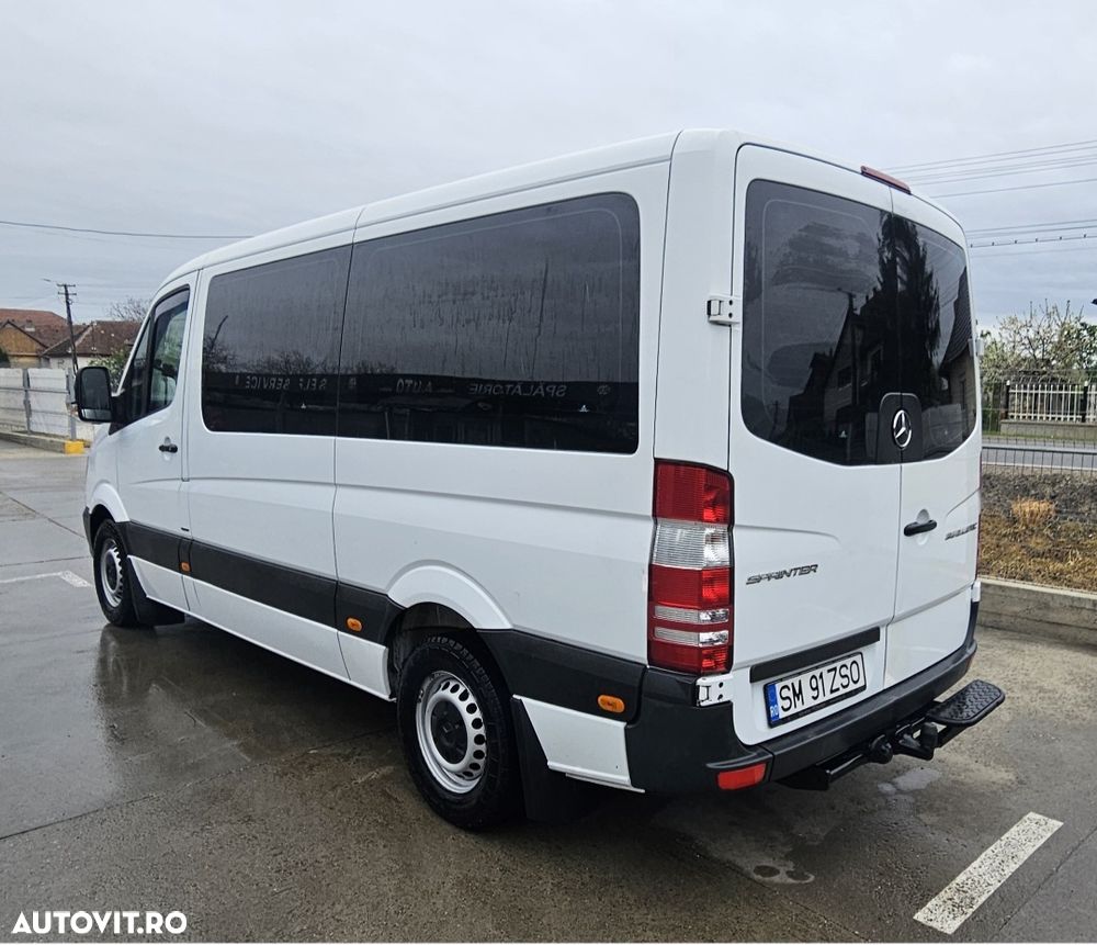Mercedes-Benz Sprinter 316 CDI (BlueTec) 906.235 BlueEFFICIENCY - 3