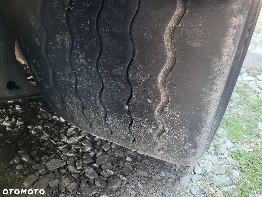 Krone Mega, Cert. XL. - 8