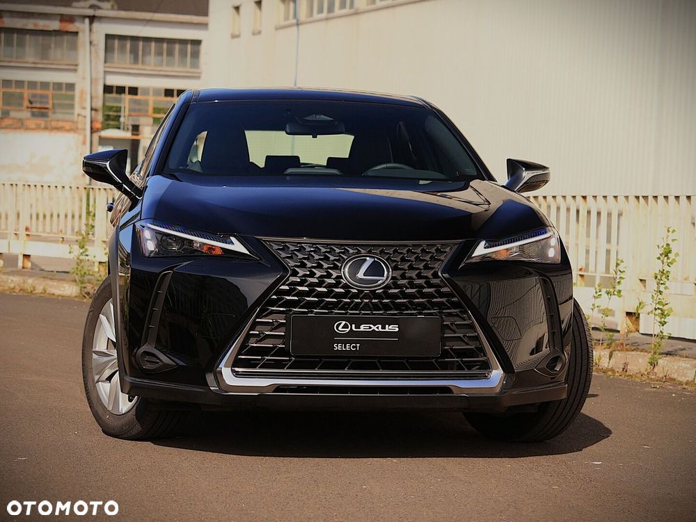 Lexus UX 300h Elegance - 19