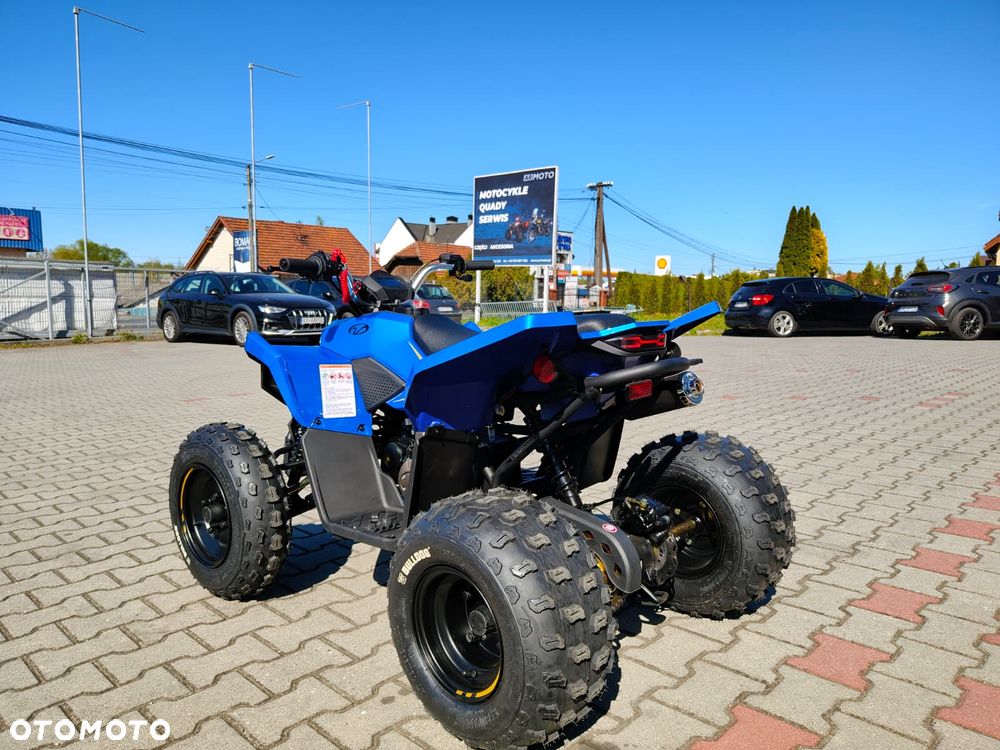Linhai ATV - 5