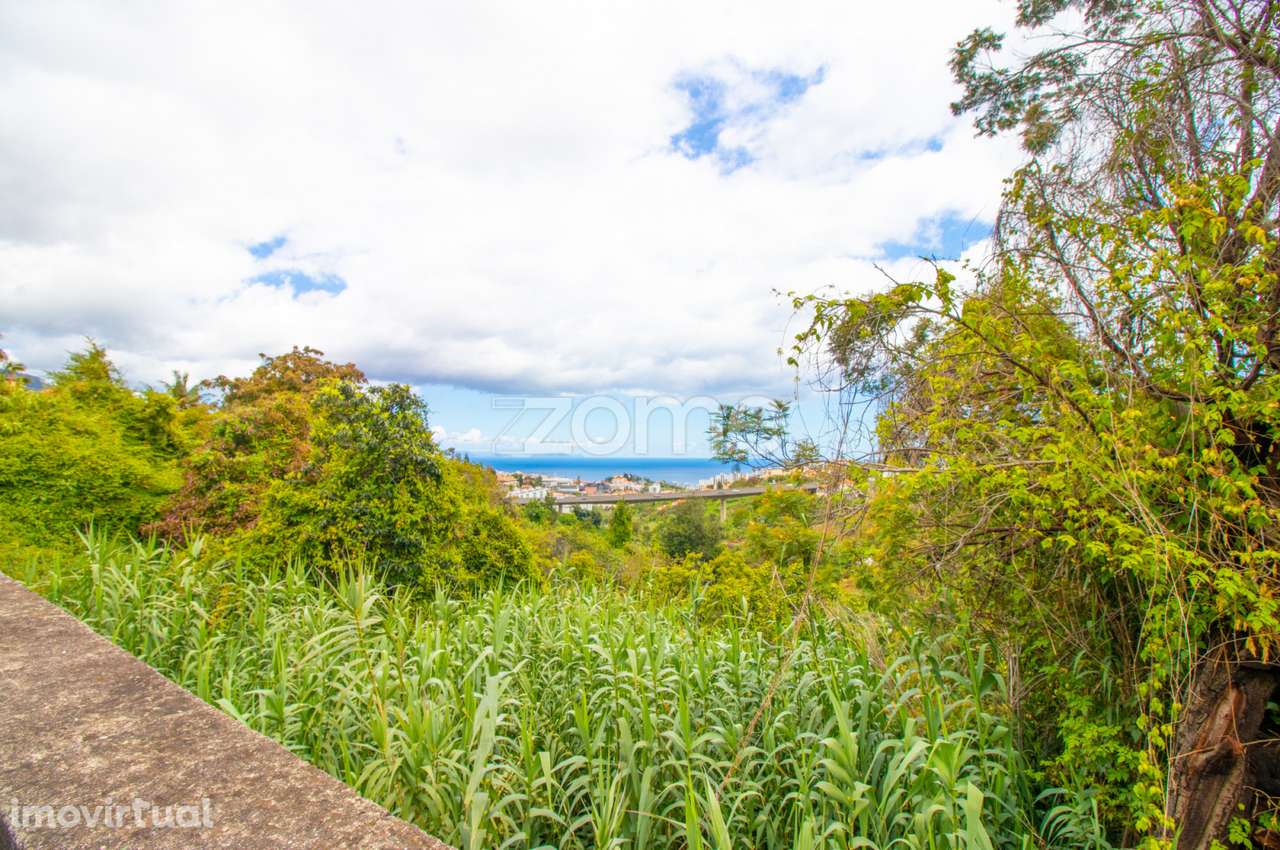 Terreno urbano na Quinta do Leme, Santo António - Grande imagem: 3/12