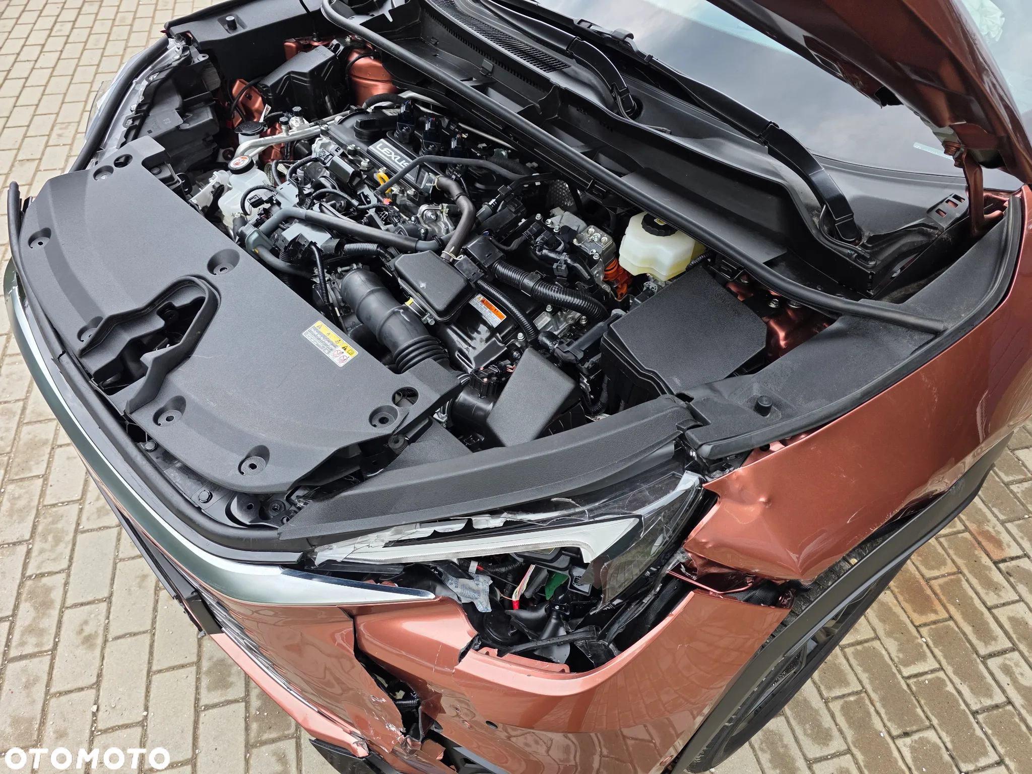 Lexus LBX - 7