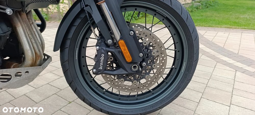 Triumph Tiger - 28
