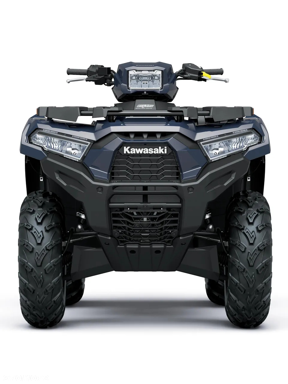 Kawasaki Brute Force - 19