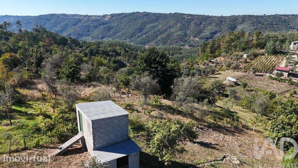 Terreno Agrícola em Sandomil - Grande imagem: 5/10