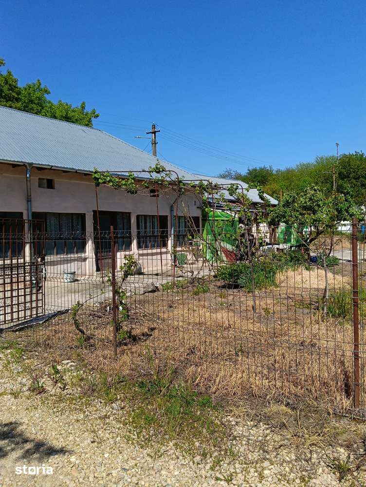Casa cu 5 camere în zonă rurală, curte împrejmuită - Imagine principală: 5/6