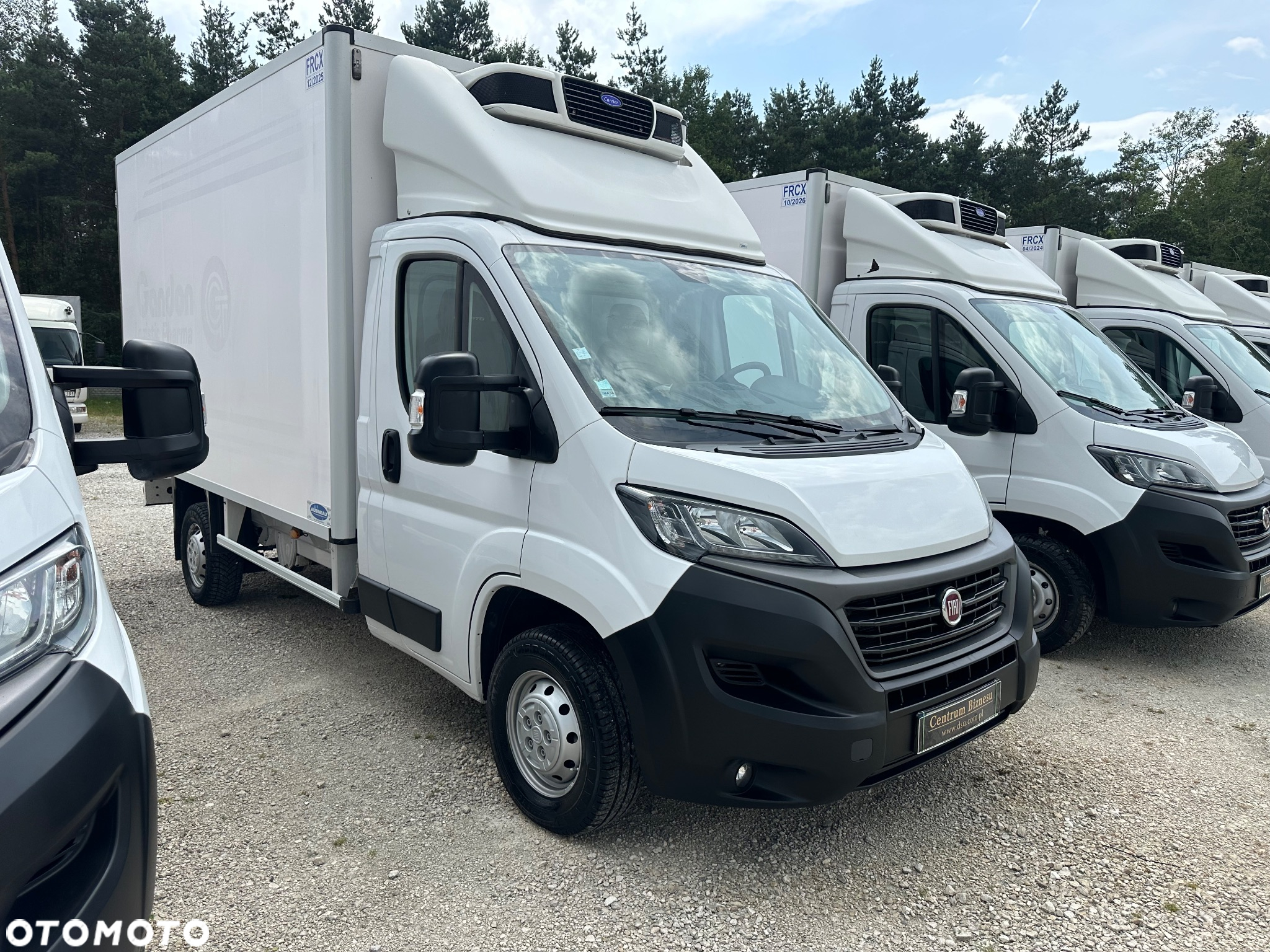 Fiat Ducato Mroźnia -25*C / Nowy Model / perfekcyjny stan - 13