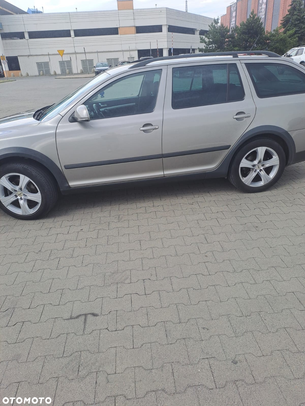 Skoda Octavia Combi 2.0 TDI DPF 4x4 Scout - 8