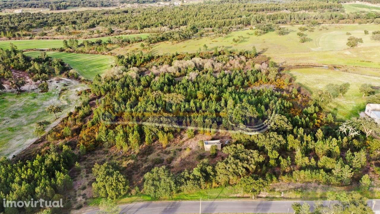 Terreno em Coruche (CRCH166) - Grande imagem: 3/11