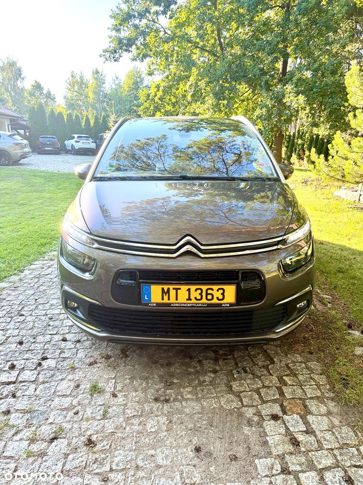 Citroën C4 Grand Picasso BlueHDi 120 Business Class - 5