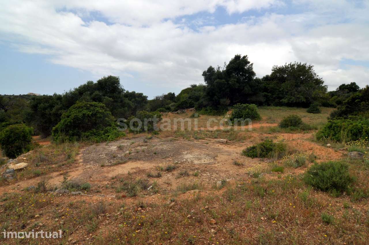 Terreno Para Construção  Venda em Pechão,Olhão - Grande imagem: 4/6