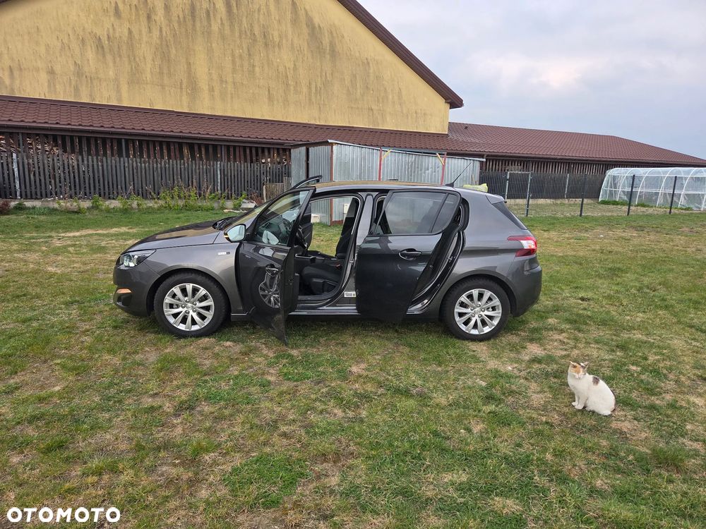 Peugeot 308 - 25