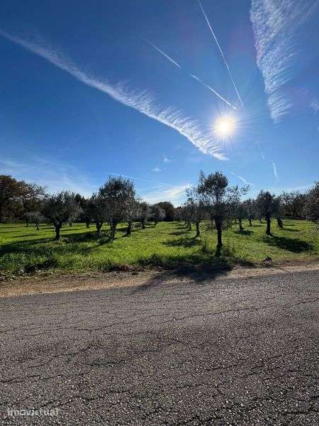 Anúncio de Venda de Terreno – Oportunidade Imperdível! Land for Sale - Grande imagem: 2/3