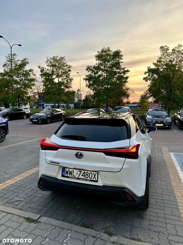 Lexus UX 250h - 11