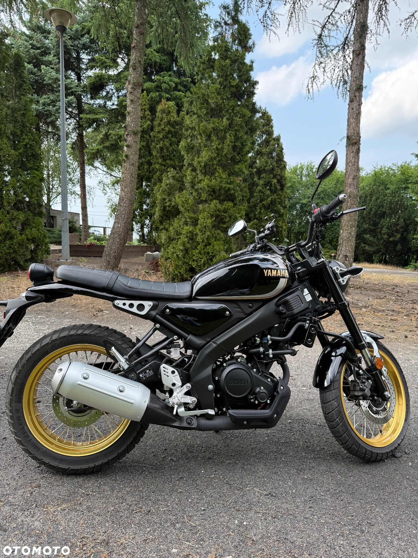 Yamaha XSR - 2