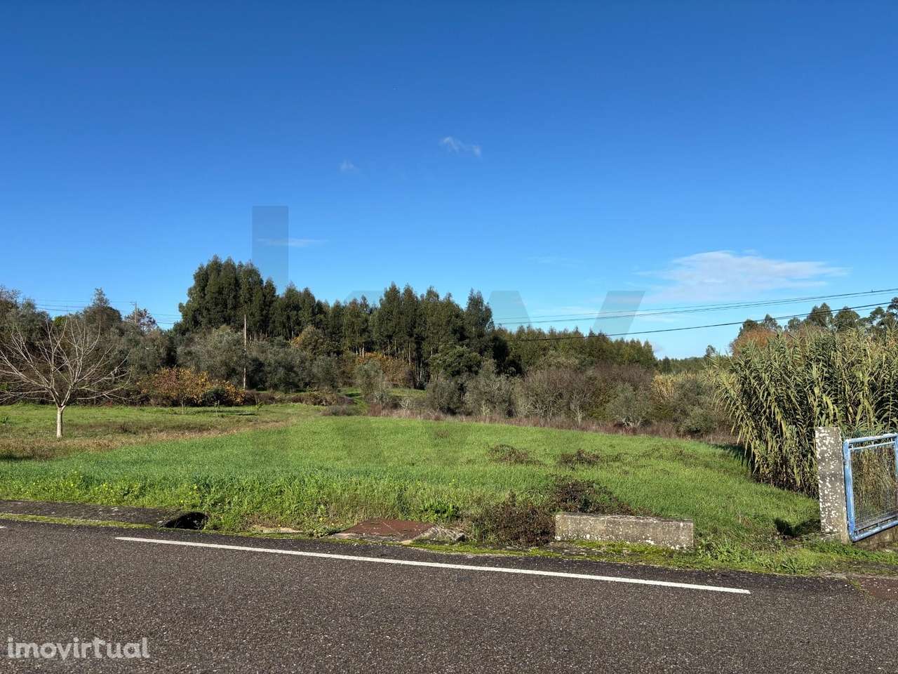 Oportunidade de investimento: Terreno com potencial construtivo em Tom - Grande imagem: 4/9