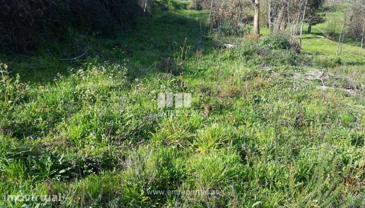 Venda Terreno, Manhuncelos, Marco de Canaveses - Grande imagem: 2/7