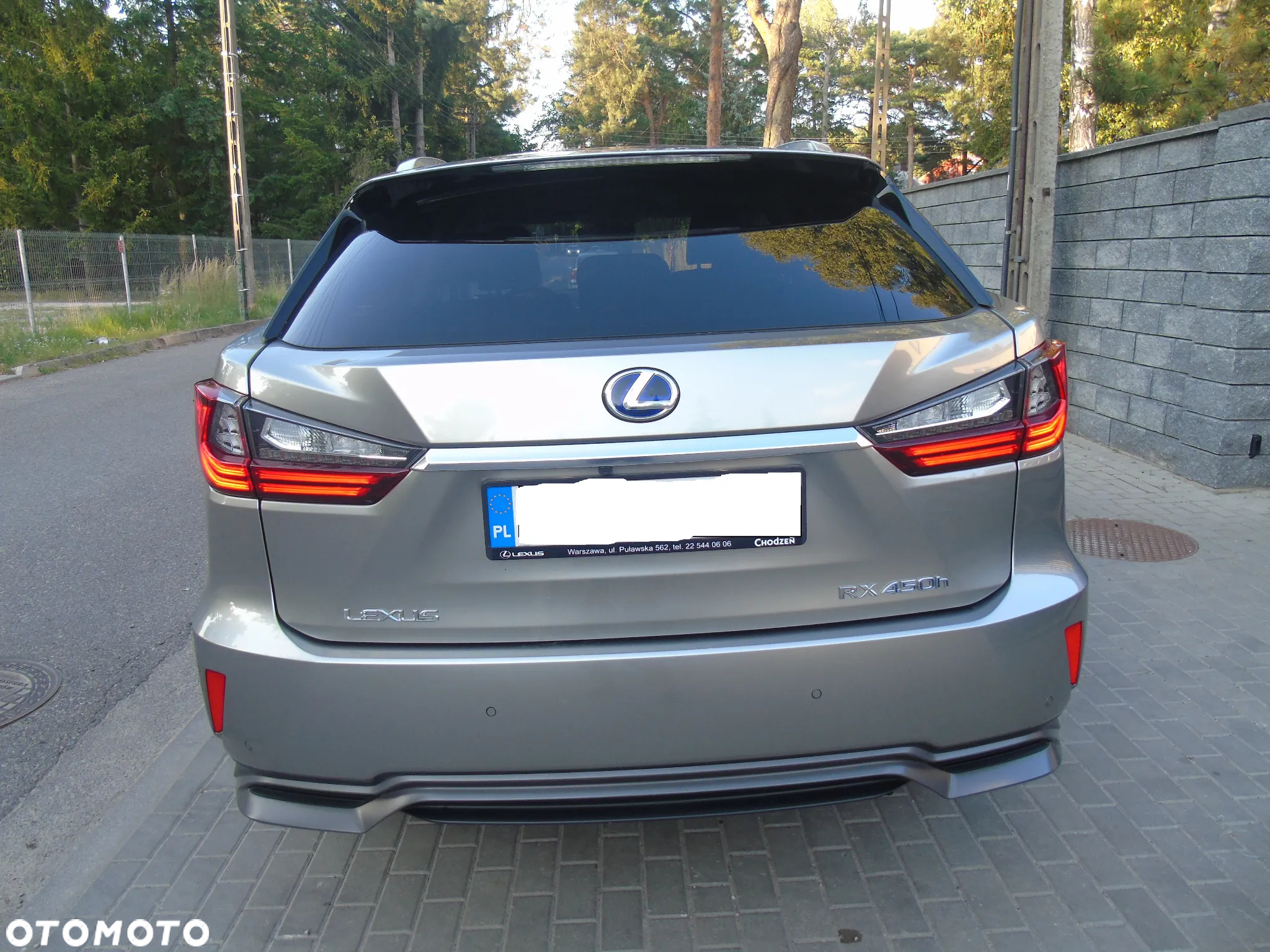 Lexus RX 450h Elegance - 8